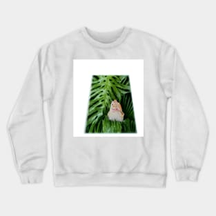 chicken in the garden Crewneck Sweatshirt